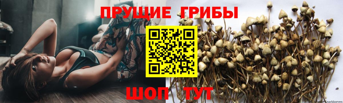 Спасск-Дальний  Псилоцибиновые грибы мухоморы  Галлюциногенные грибы Psilocybine cubensis  Вход с VPN 